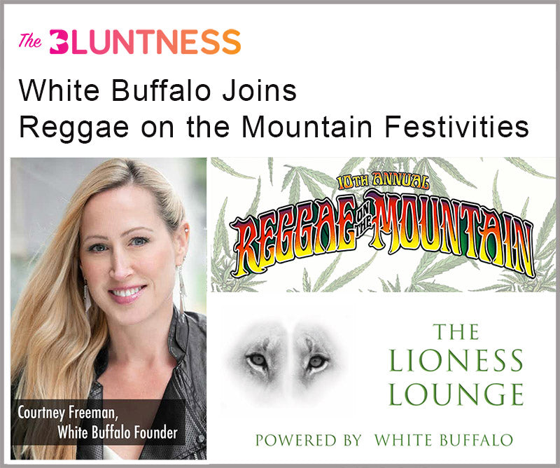 The Lioness Lounge at Reggae on the Mountain Featured in "The Bluntness"