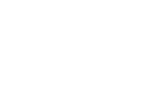 Vanguard Media